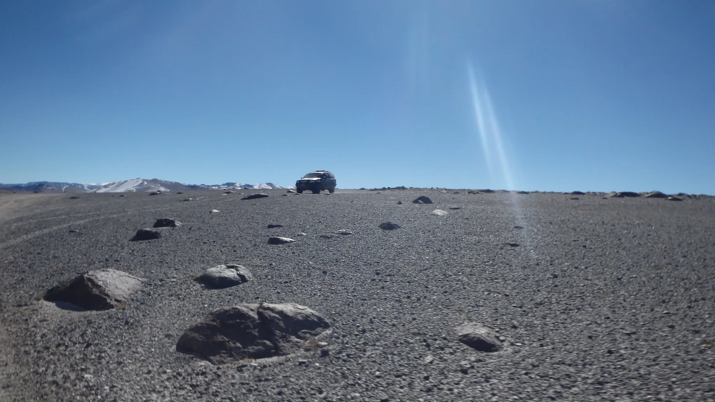P4020943.webp