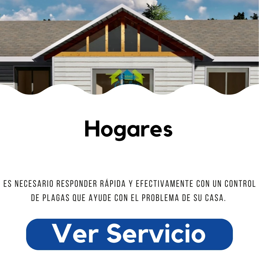 Servicio de Fumigacion y Control de Plagas en Hogares