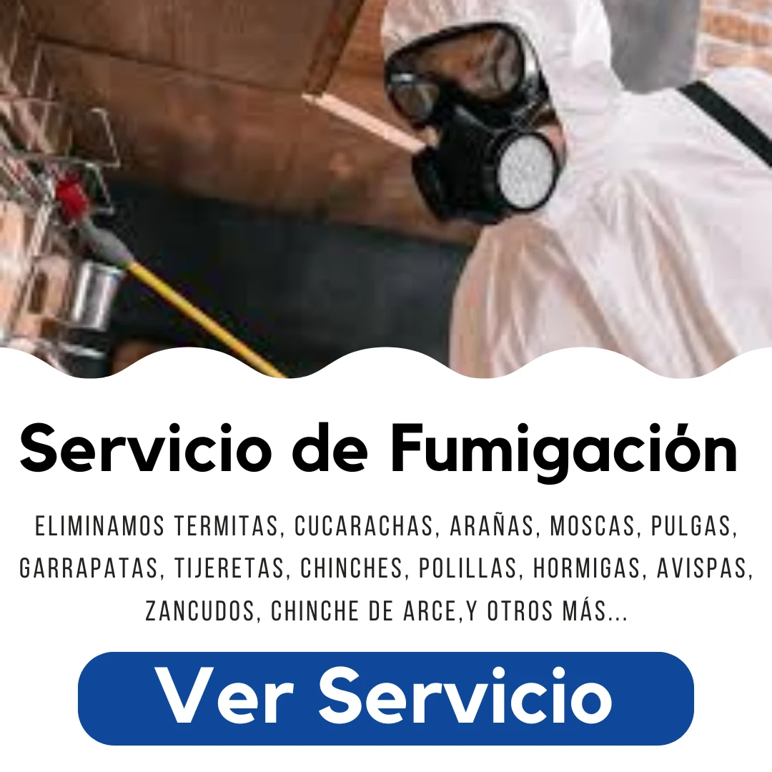 Servicio de Fumigacion