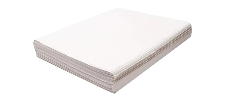 https://ss-static-001.esmsv.com/r/content/host1/fde25a5dc1020641c95ece2eccc3e051/editor/papel_fondo-removebg-preview.webp