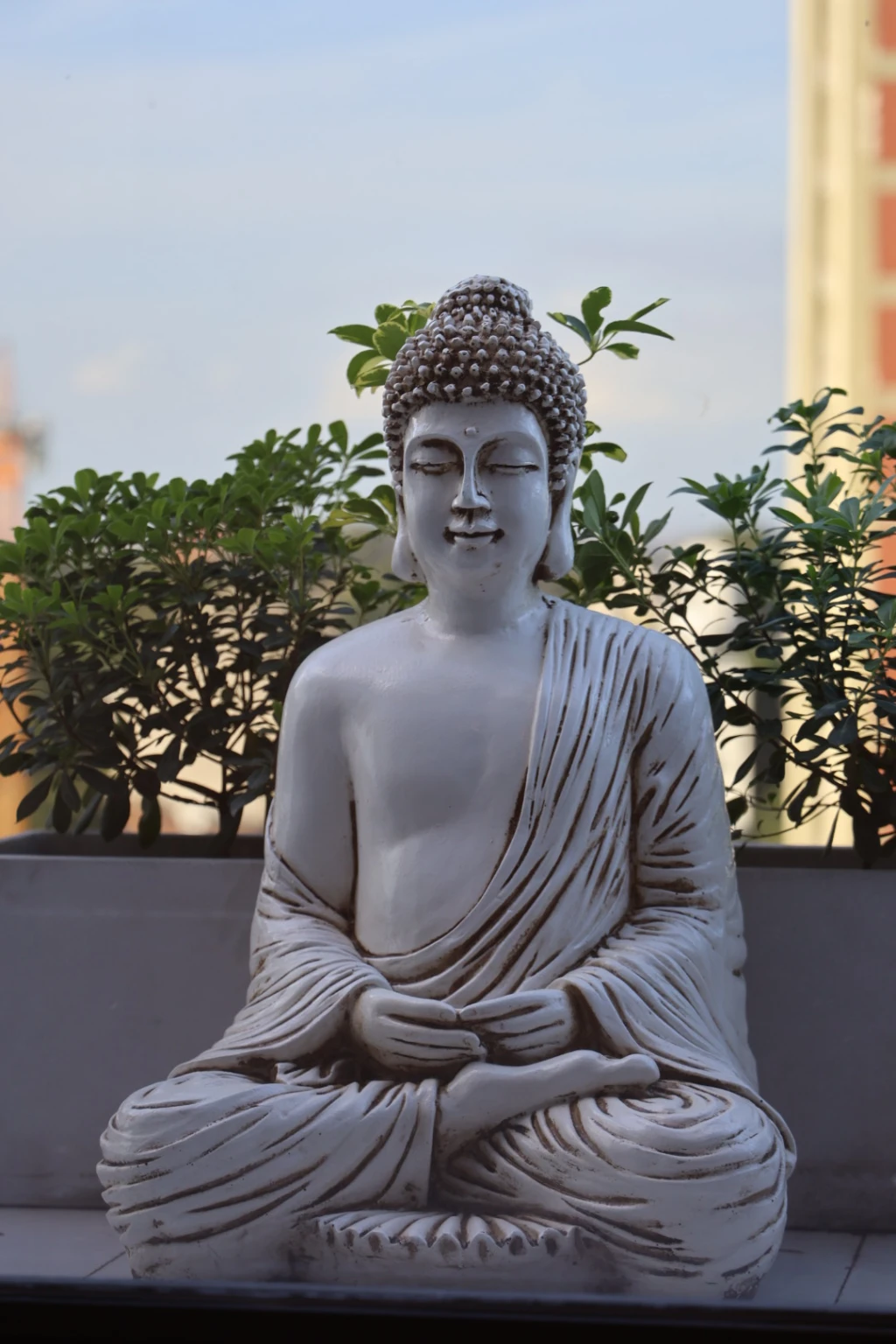 R6M5833.webp