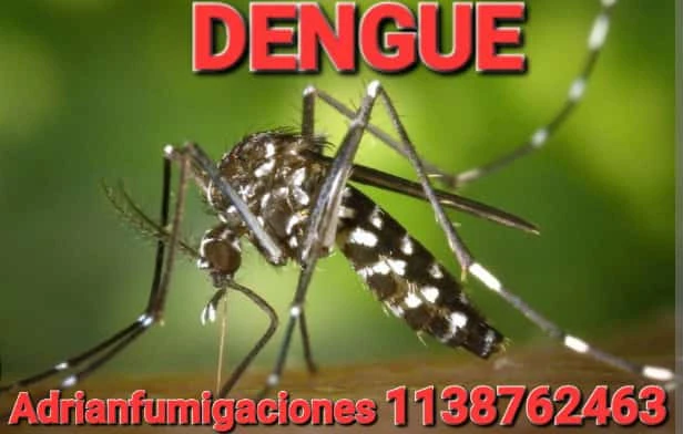 MODO DE  PREVENCION DE MOSQUITOS .