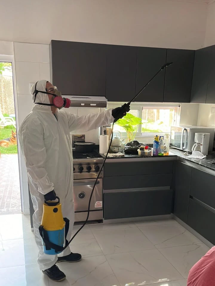 CUANDO LLAMAR A UN FUMIGADOR?