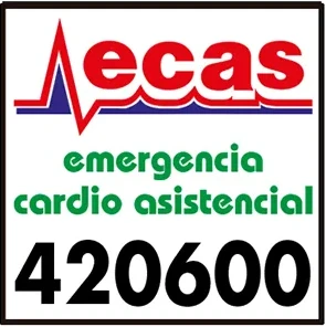 ecas.webp