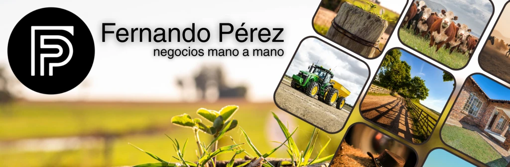 fondoheader