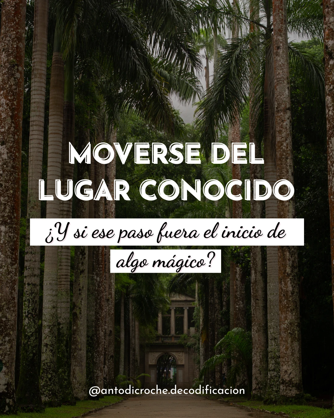 MOVERSEDELLUGARCONOCIDO.webp
