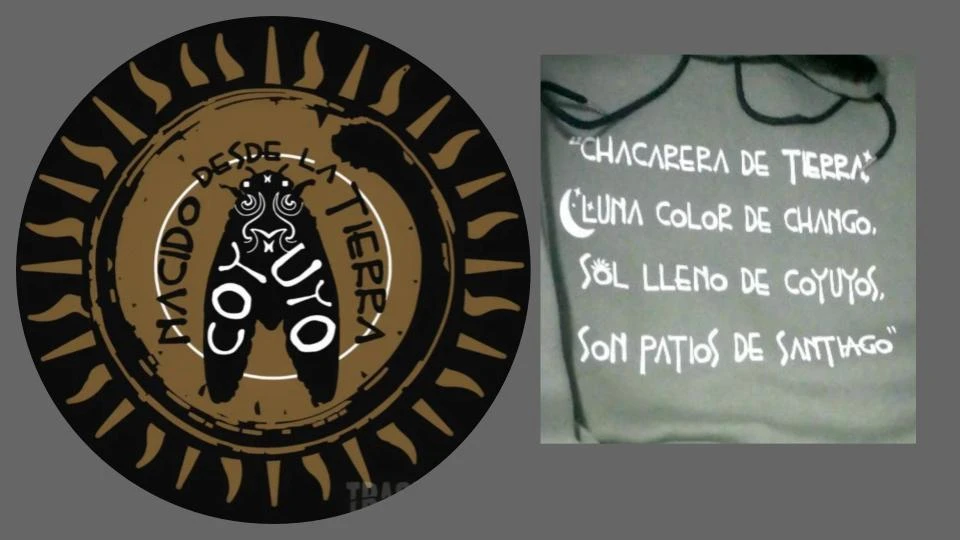 REMERITIScatlogo30.webp