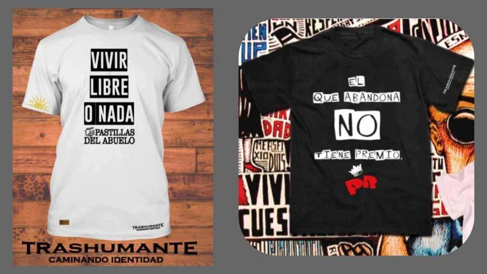 REMERITIScatlogo46.webp