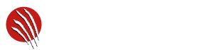 Foxtter