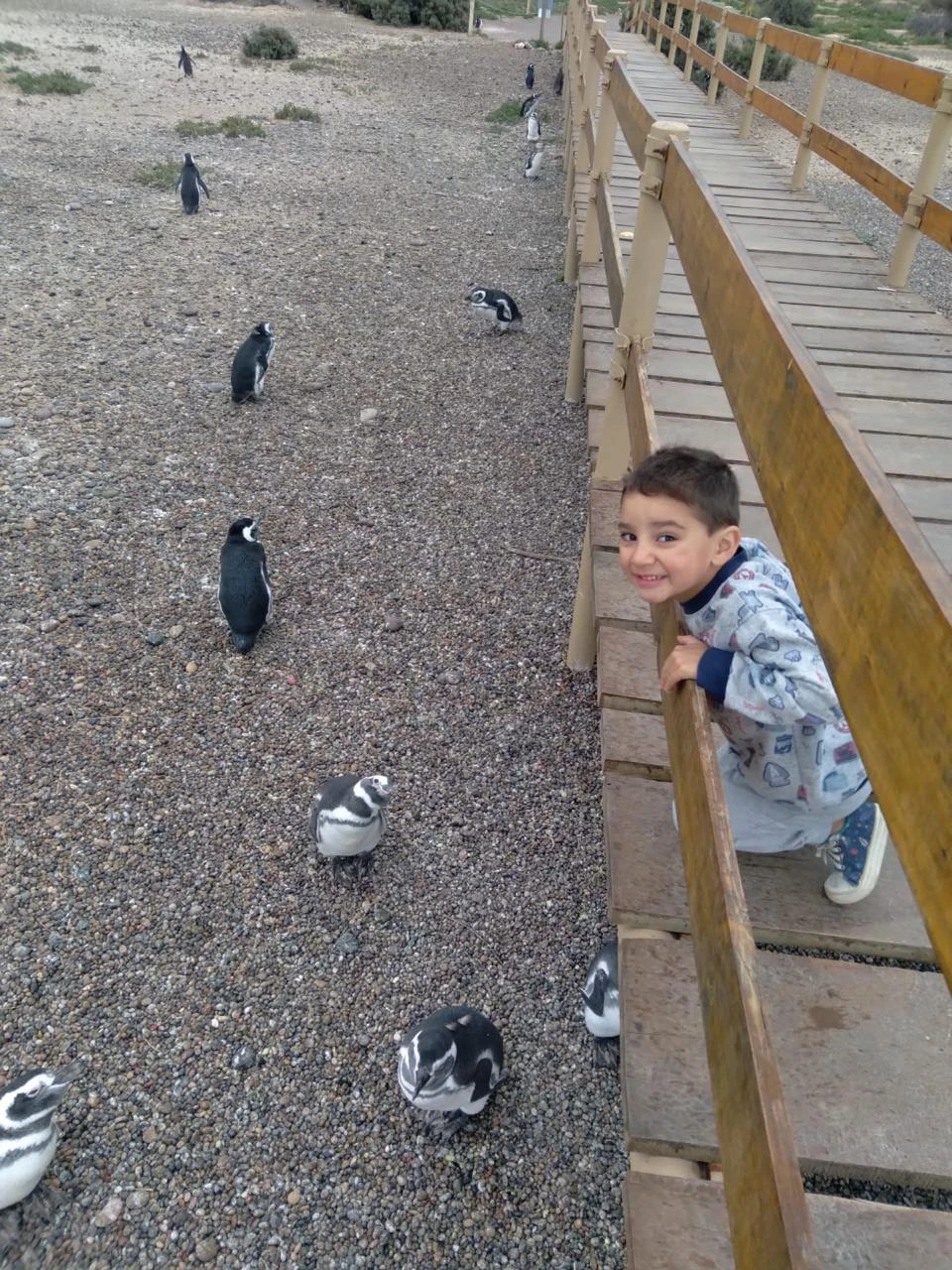 WhatsAppImage2025-06-20at22-(5210).webp
