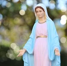 Soy tu Guia