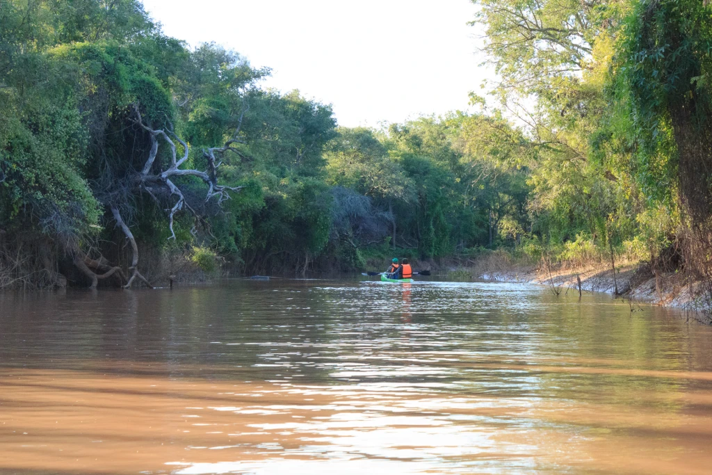 Actividad opcional en Kayak