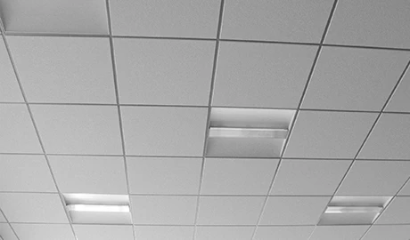 colocacion-dulock.webp