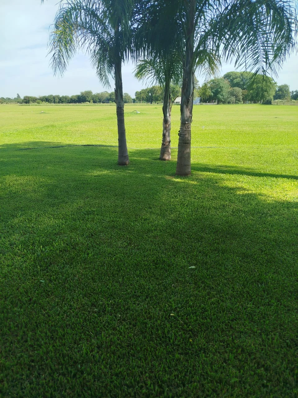 1448d856-c8b7-4293-98f9-c941c62772c5.webp