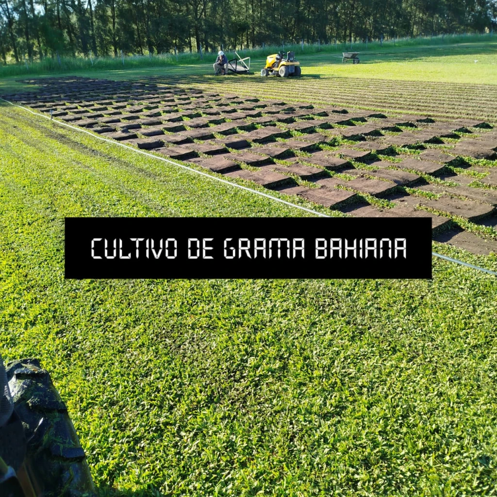 3eca1b64-792e-4a42-b459-74e1cfcecbd6.webp