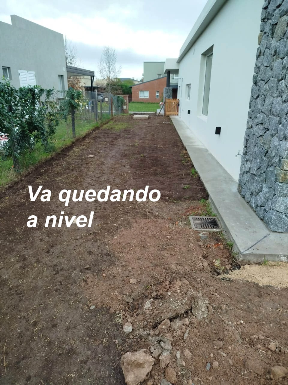 Durantefin.webp