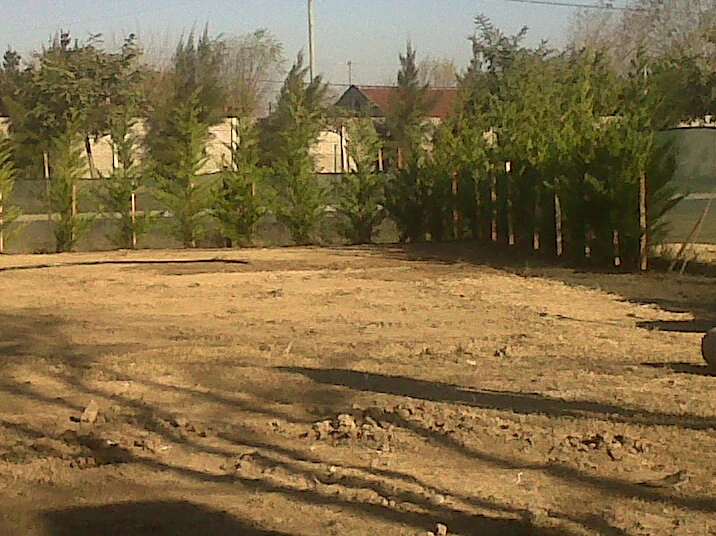 LeyLandi.webp