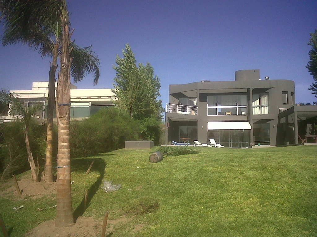 Palmerasssssiiii-(3961).webp