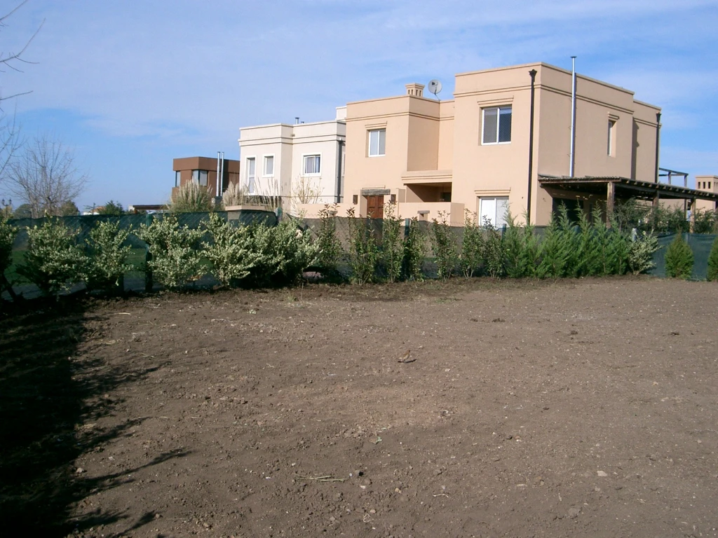 cercossss-(5003).webp