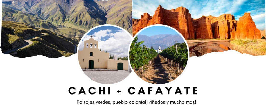 CACHICAFAYATE.webp