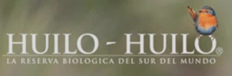 huilohuilo.webp