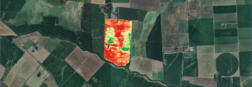 NDVI: el índice que transforma la forma de producir en la agricultura moderna