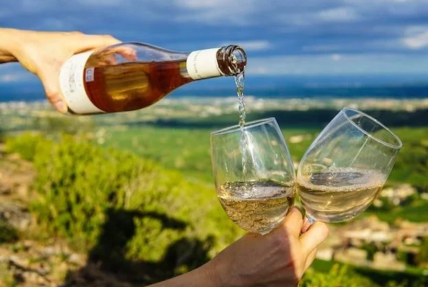 Wie man Wein zu Hause wie ein Profi verkostet