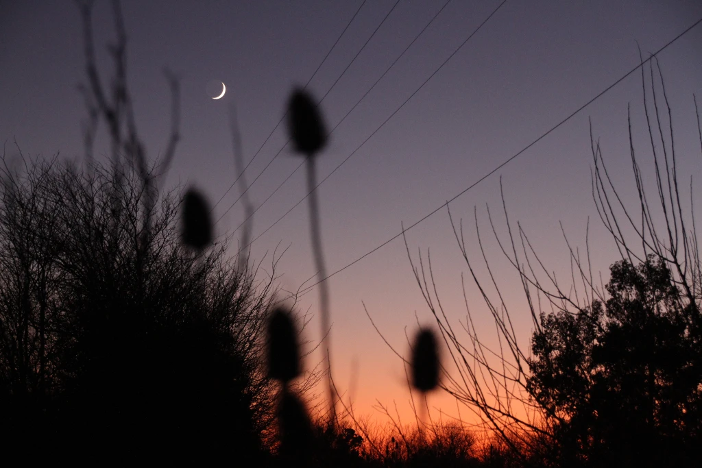 Amanecer
