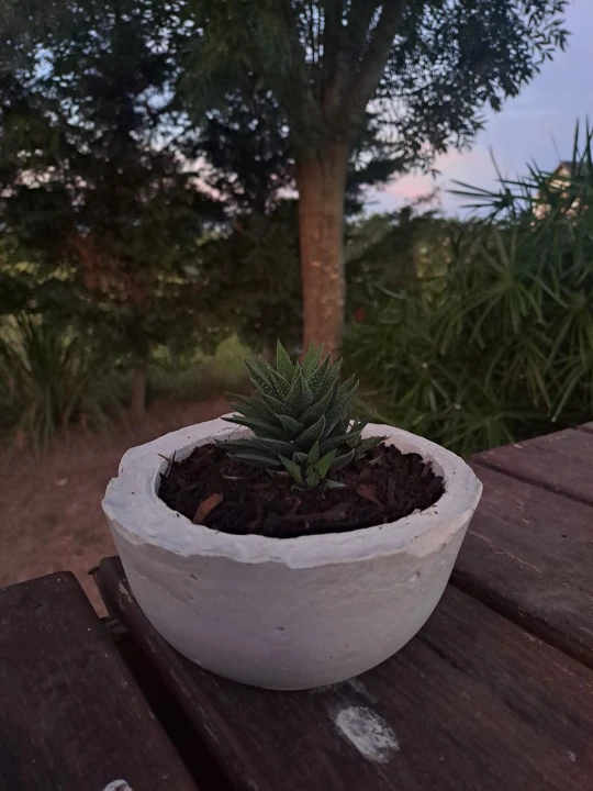 #