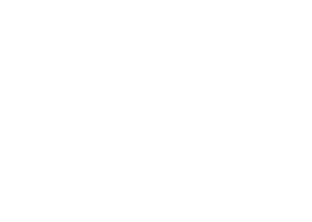 Luis Scholles
