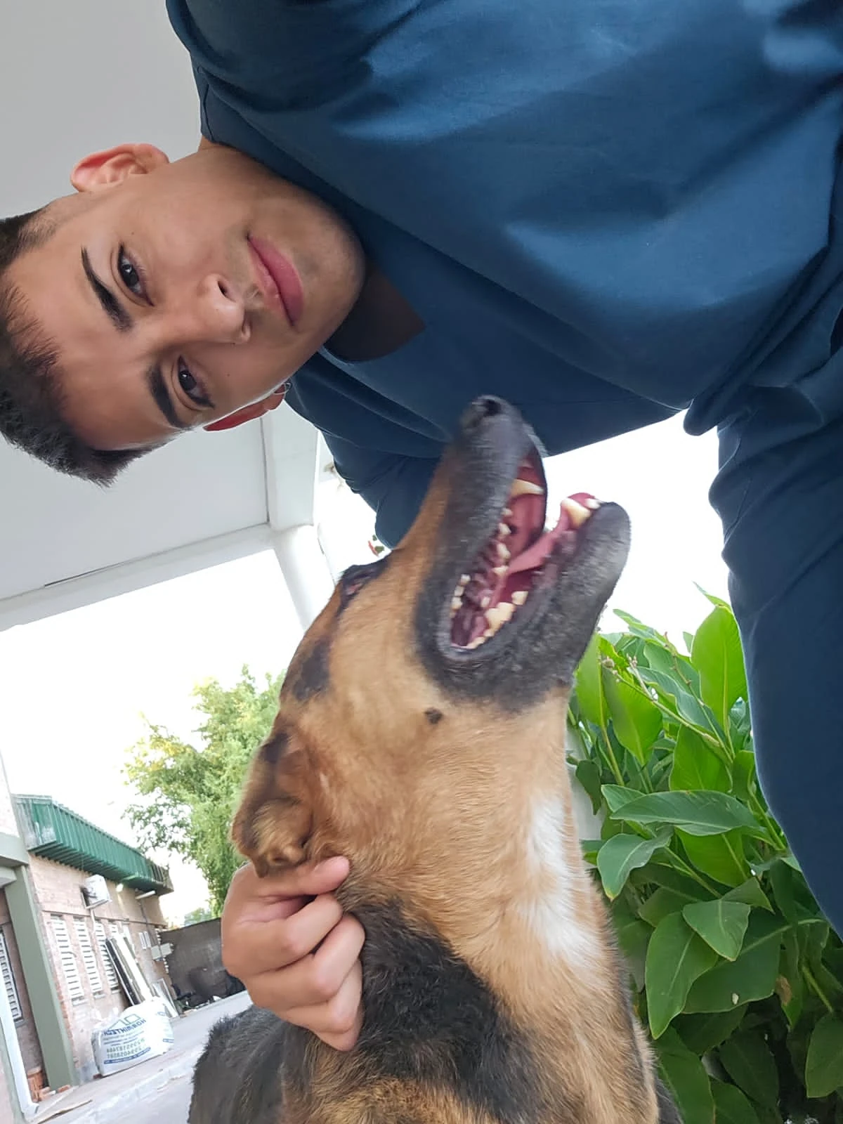 Vecino 3