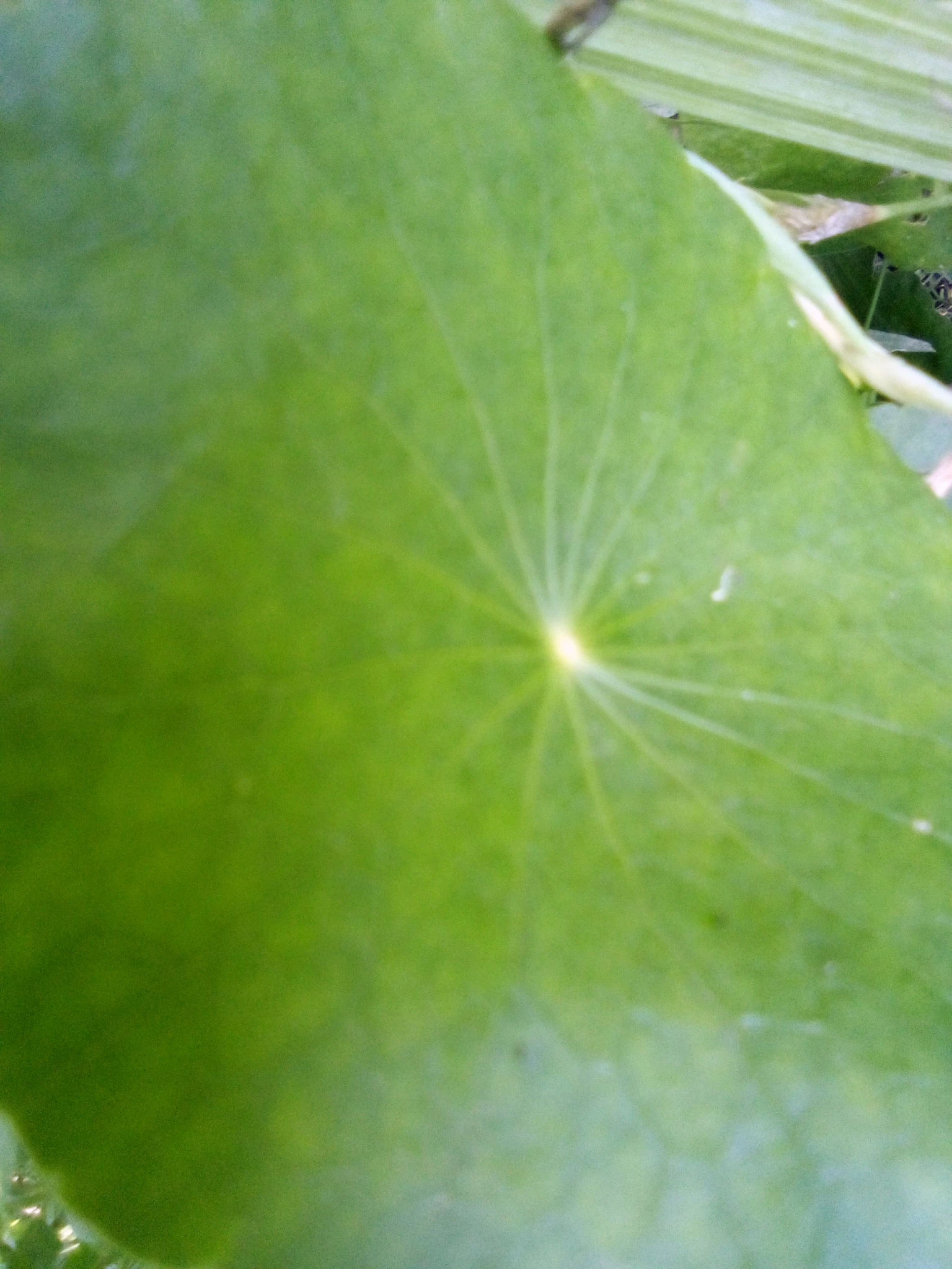13.webp