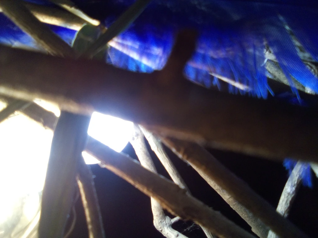 IMG20250126181439.webp