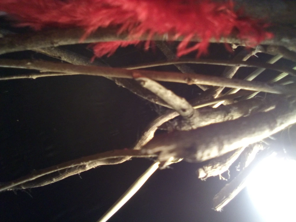 IMG20250126181526.webp