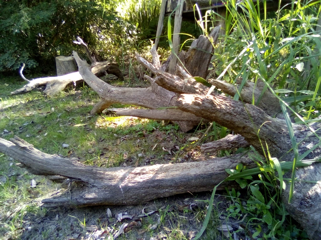 IMG20250130164210.webp
