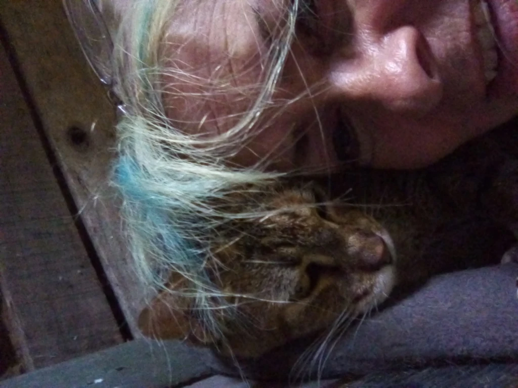 IMG20250130171229.webp