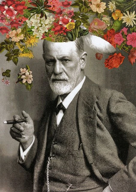 Lic. Pignatelli Paula