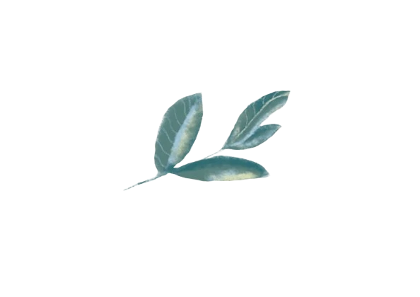 MYRICA GIN