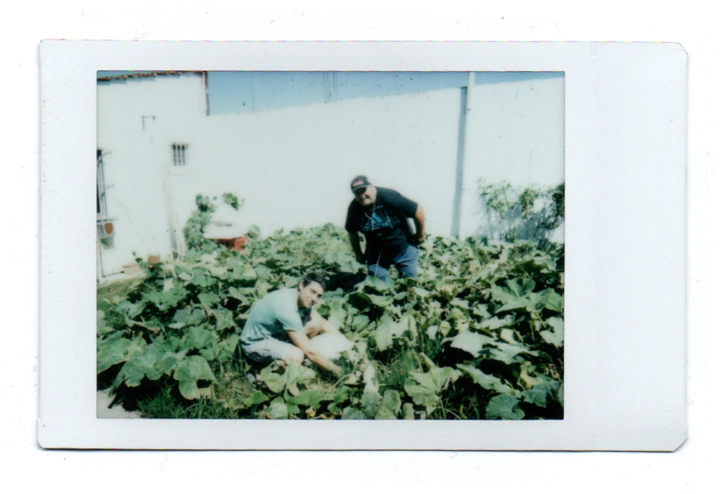 Eduardo y Carlos @ Plantación de Calabazas [????]