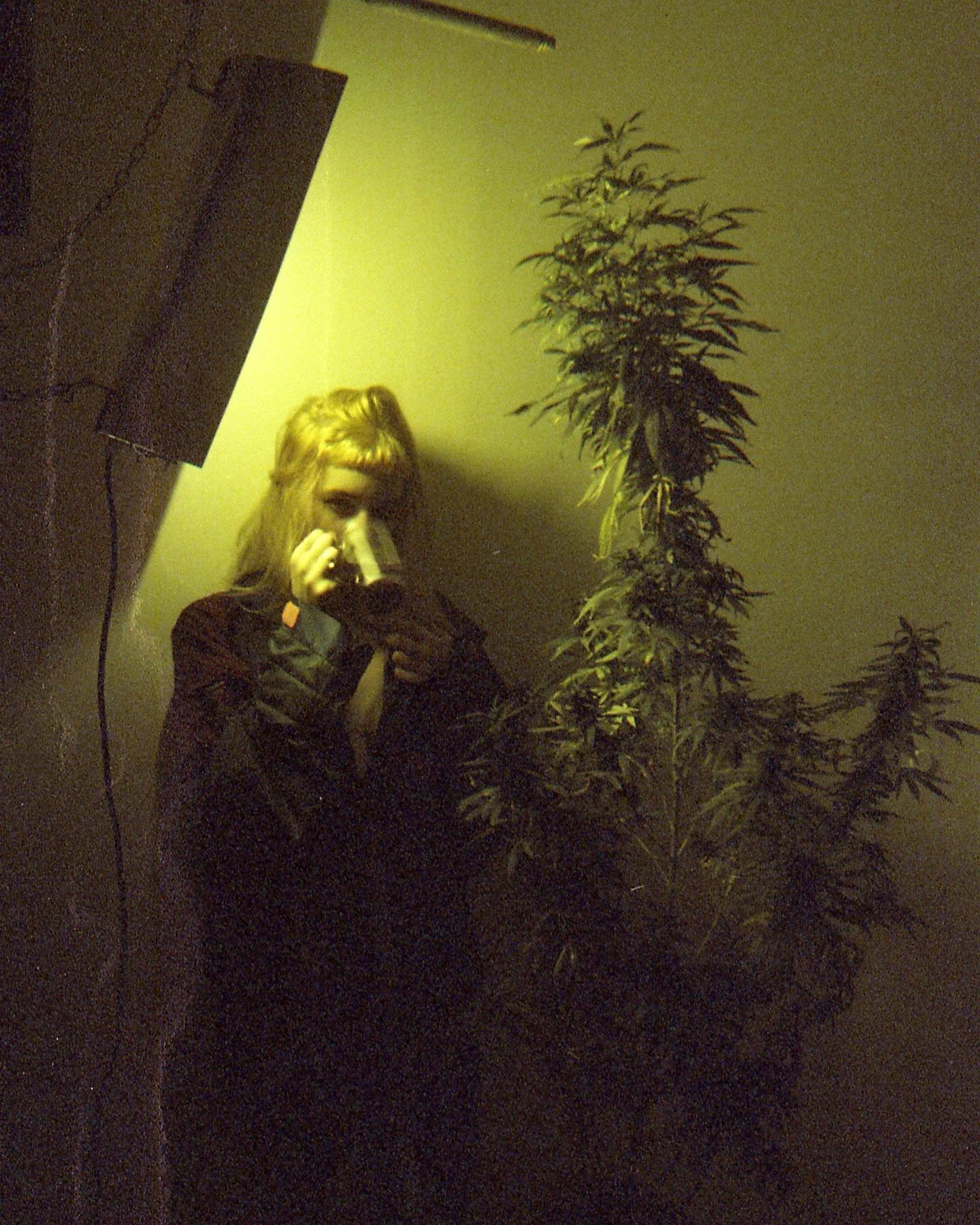 Valen - Weed [2019]
