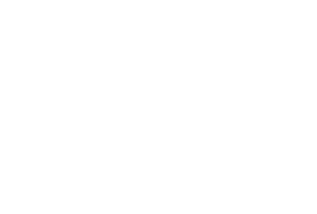 Fisent