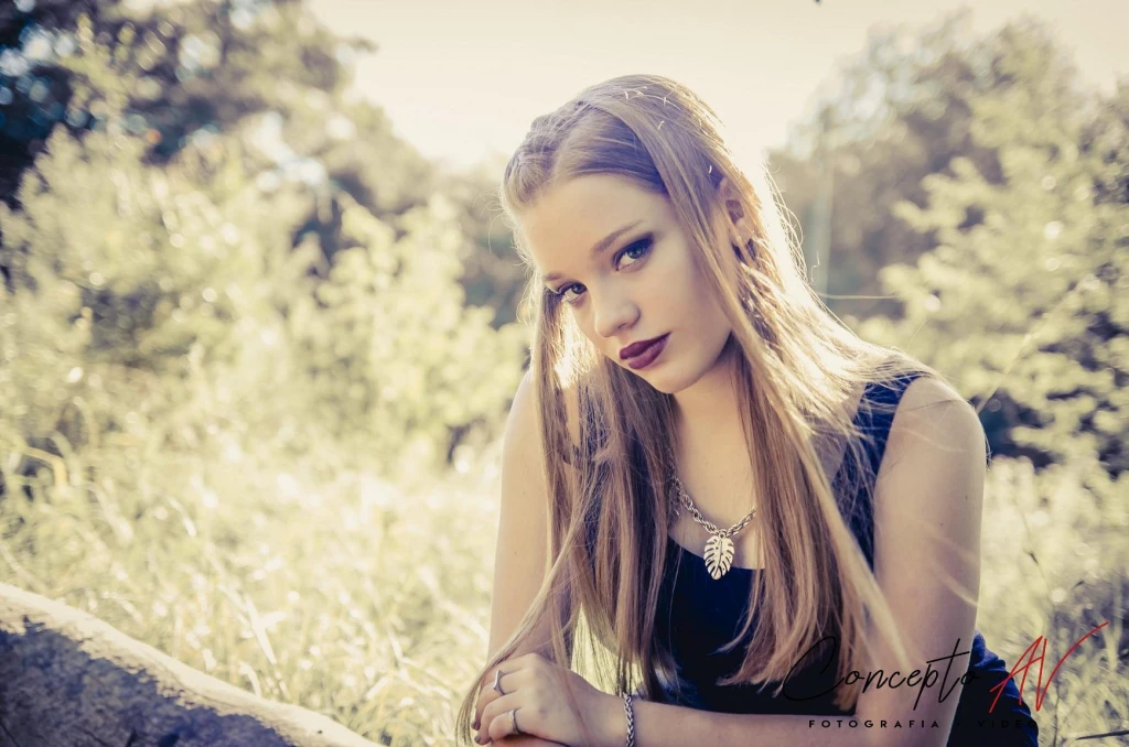 Book 15 años