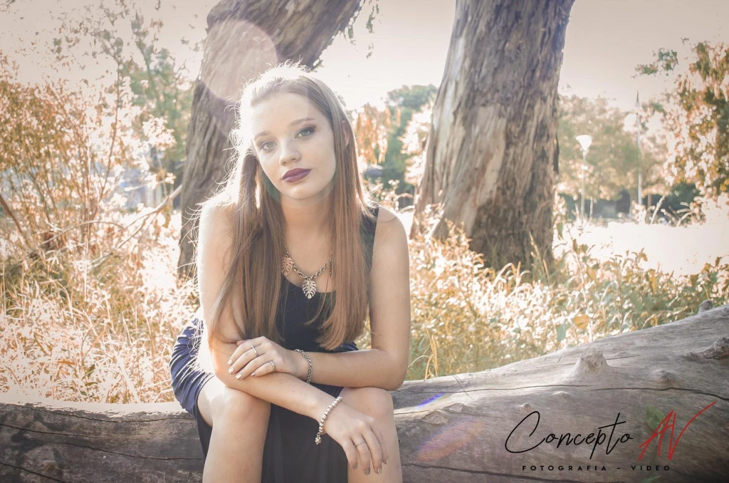 Book 15 años