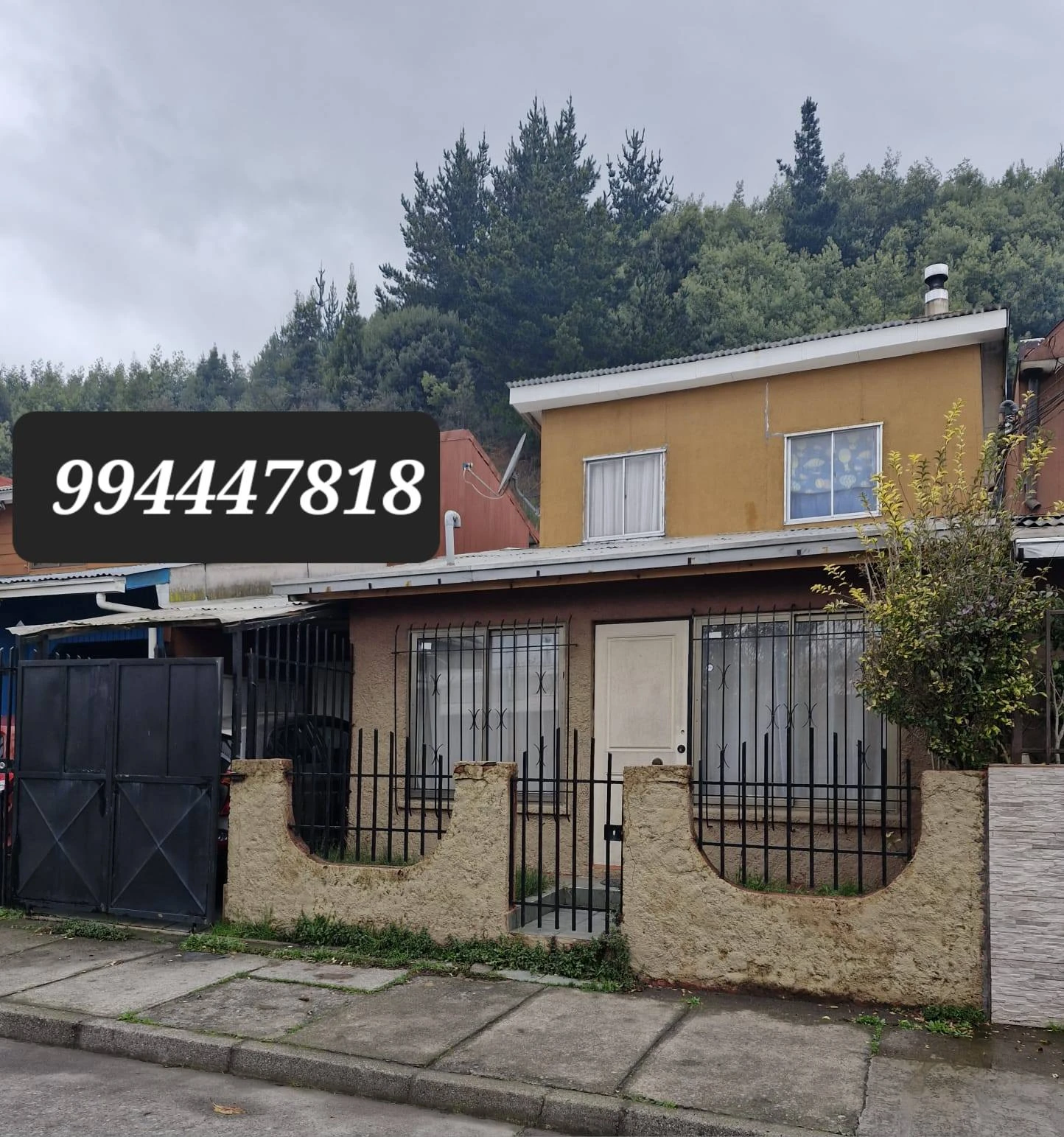 51797910919812358459685758364810672584970906n-(3742).webp