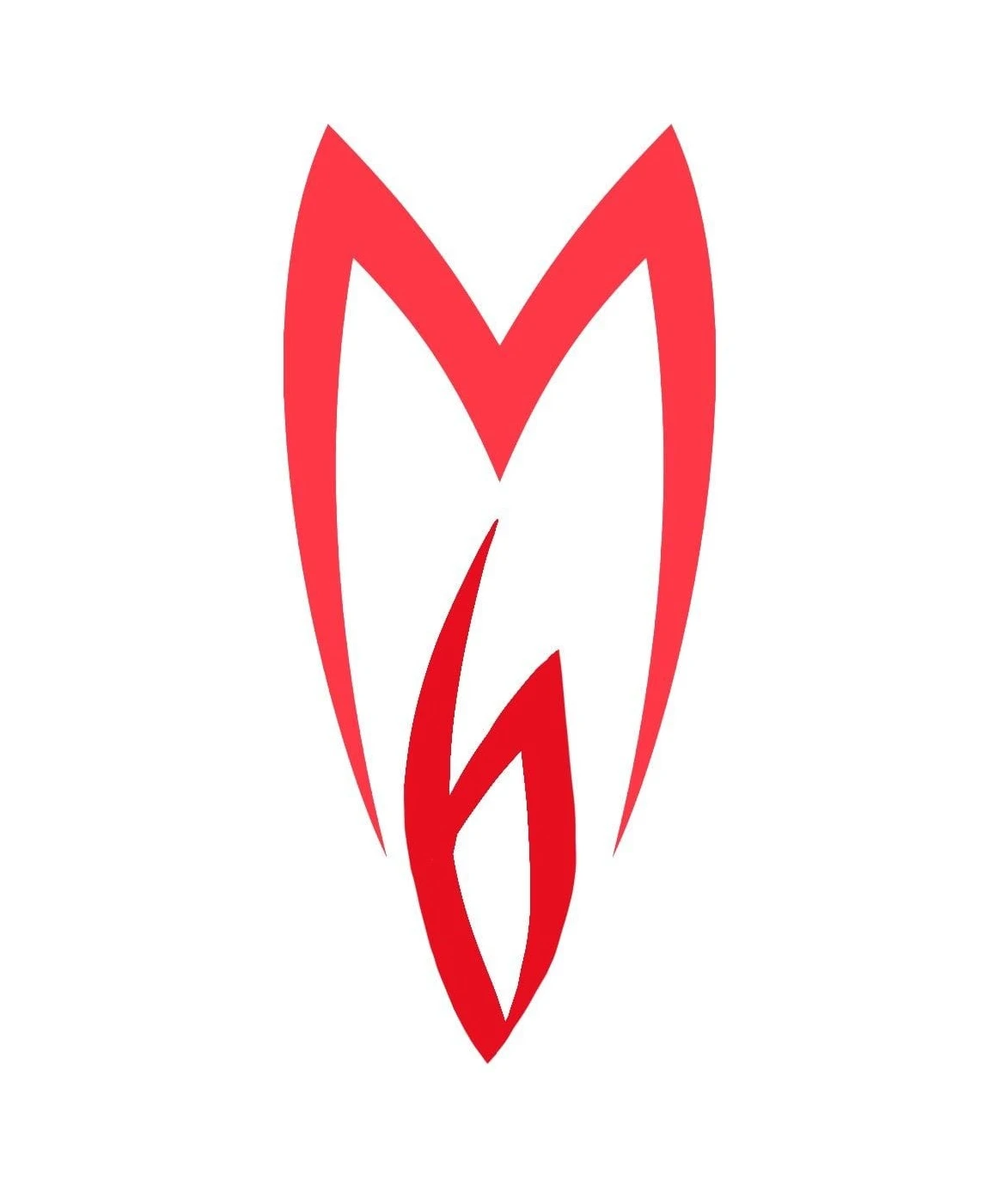 M6 Group Corp