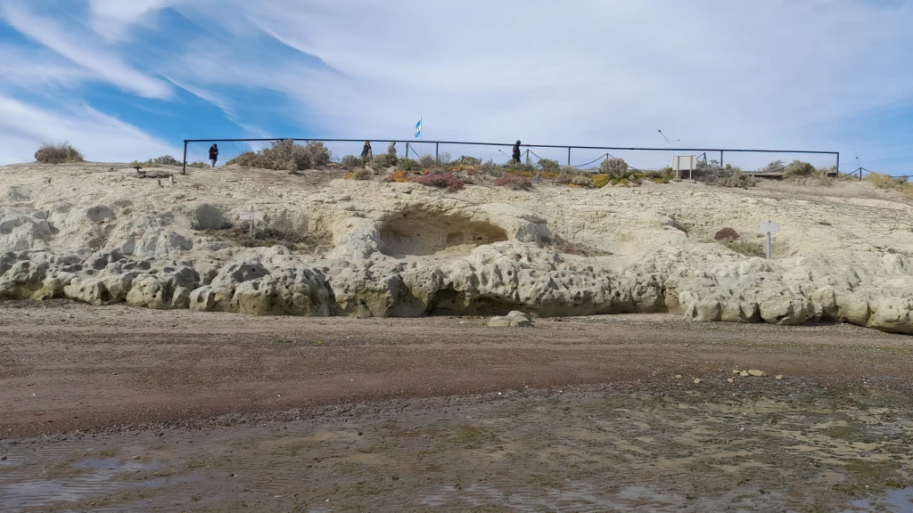 Punta Cuevas ( Puerto Madryn Chubut )