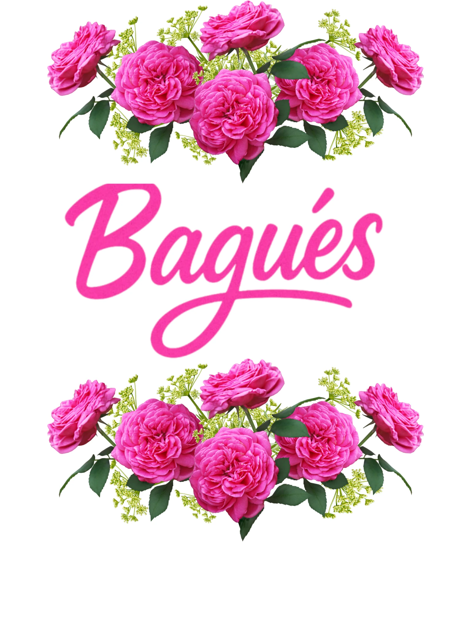 Perfumeria bagues