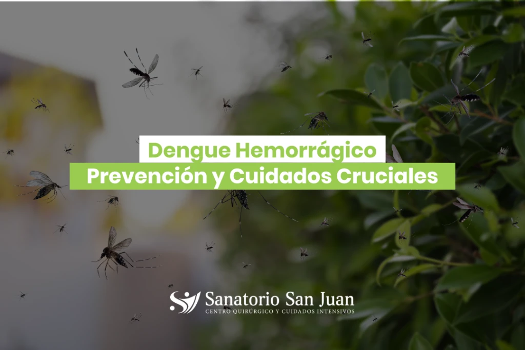 Dengue Hemorrágico: Prevención y Cuidados Cruciales