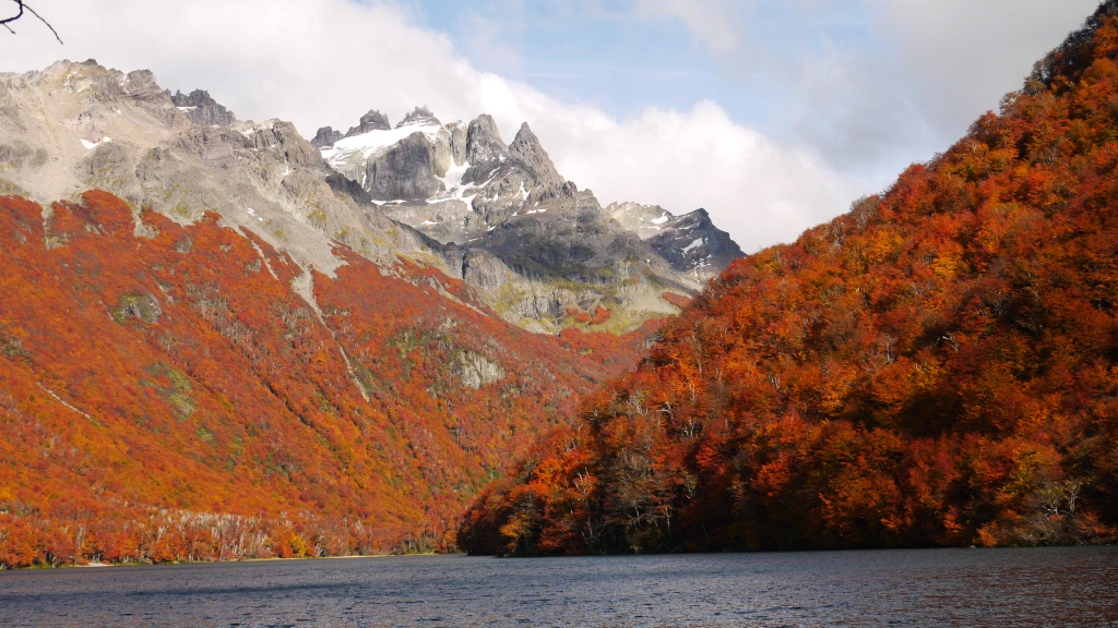 FOTOTREVELIN.webp