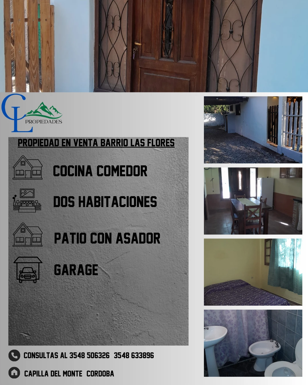 portadafeed.webp